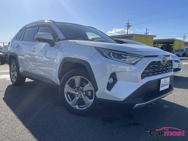 2019 Toyota RAV4 CN F23-K80